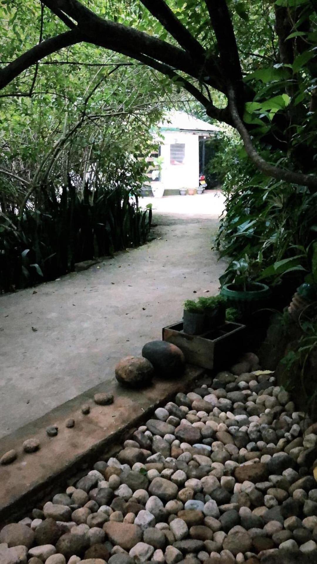 Surrey Bird Sanctuary & Holiday Resort Welimada Bagian luar foto
