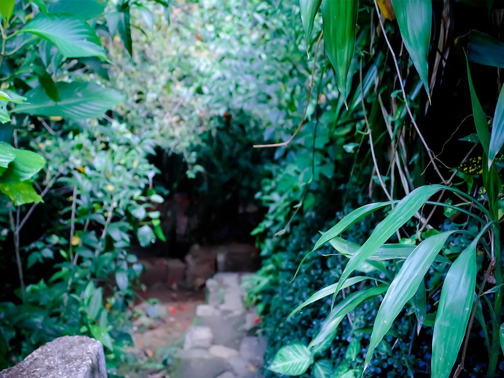 Surrey Bird Sanctuary & Holiday Resort Welimada Bagian luar foto