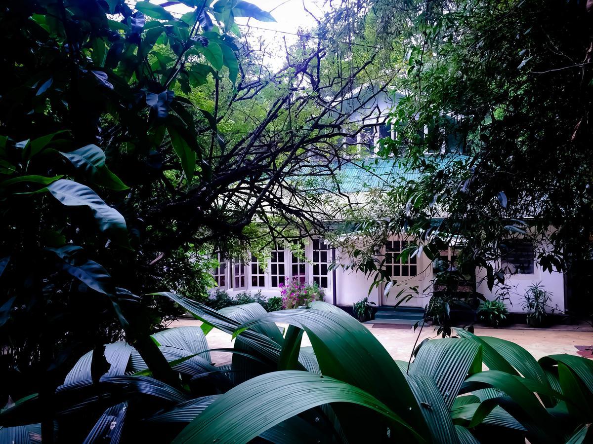 Surrey Bird Sanctuary & Holiday Resort Welimada Bagian luar foto