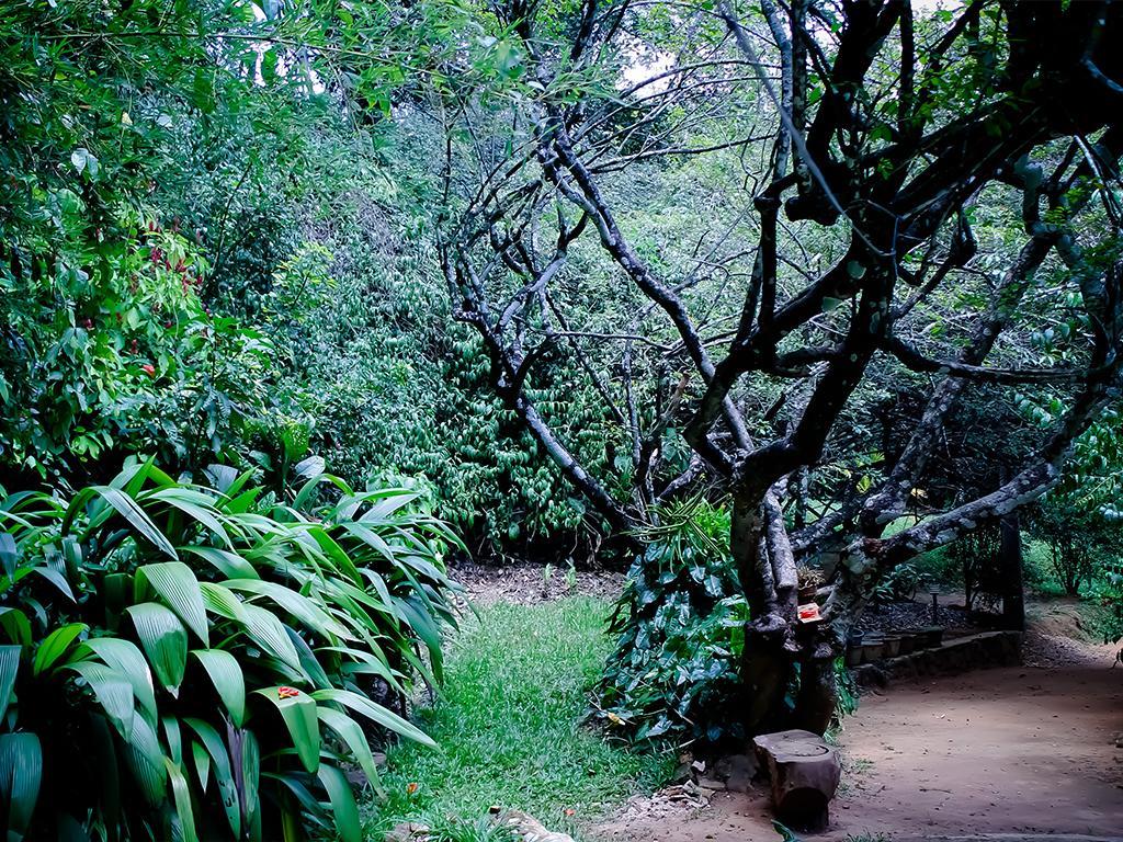 Surrey Bird Sanctuary & Holiday Resort Welimada Bagian luar foto